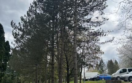 3-izbový byt na predaj v Bánovciach nad Bebravou