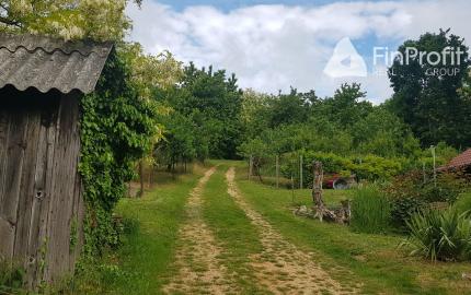 Prenajmem vinohrad v Koliňanoch pri Nitre.