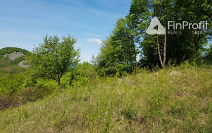 Predám pozemok vo Vyhniach + stavebné povolenie na chatu.