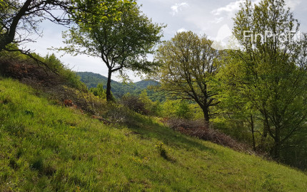 Predám pozemok vo Vyhniach + stavebné povolenie na chatu.