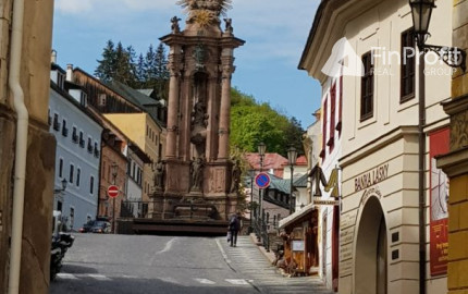 Predám pozemok vo Vyhniach + stavebné povolenie na chatu.