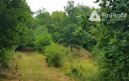 Predám pozemok vo Vyhniach + stavebné povolenie na chatu.