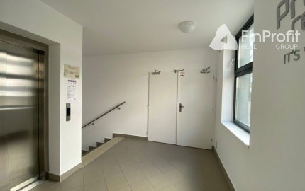 Zrekonštruovaný administratívny celok na prenájom - 371 m2, Údernícka ul.