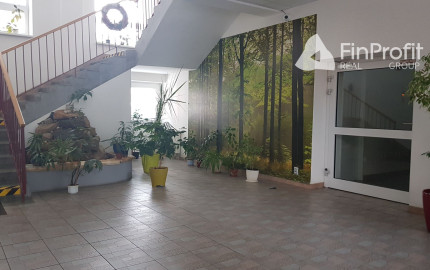 Prenajmem komerčné priestory v Nitre 240m2.