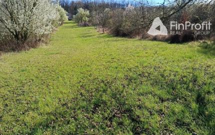 Na predaj 24 árový pozemok s chatou.
