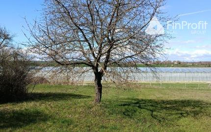 Na predaj 24 árový pozemok s chatou.