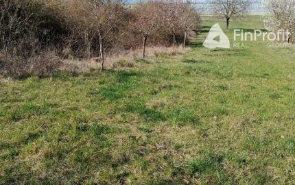 Na predaj 24 árový pozemok s chatou.