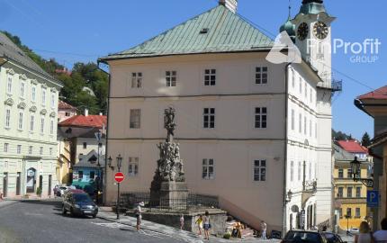 Predám zabehnutú reštauráciu v Banskej Štiavnici.