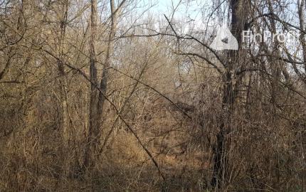 Predám stavebný pozemok Podhorany Sokolníky 5867m2.