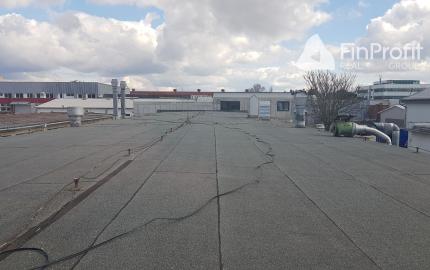 Prenajmem halu Nitra - Horné Krškany.