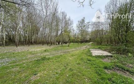 Na prenájom pekný pozemok vhodný pre voľno časové aktivity.