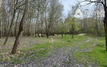 Na prenájom pekný pozemok vhodný pre voľno časové aktivity.