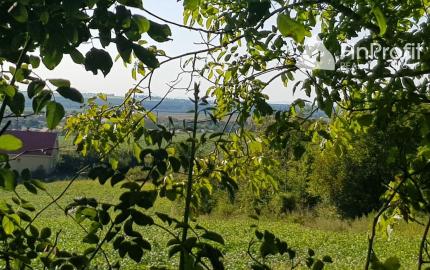 Predám pozemok Nitra - Lehota 2694m2.