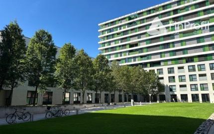 Reprezentatívny administratívny priestor na prenájom - 360 m2, Košická ul.