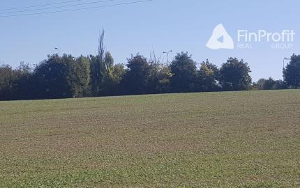 Predám pozemok v Nitre - Kynek pri Metre.