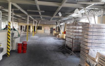 Predám výrobno-skladovací areál, 25km od NR, Obsolovce.