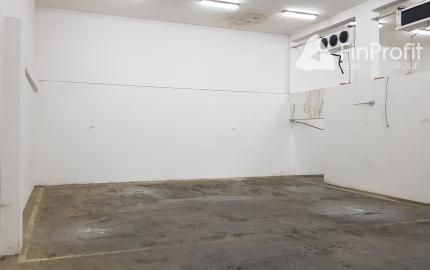 Predám výrobno-skladovací areál, 25km od NR, Obsolovce.