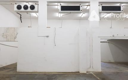 Predám výrobno-skladovací areál, 25km od NR, Obsolovce.