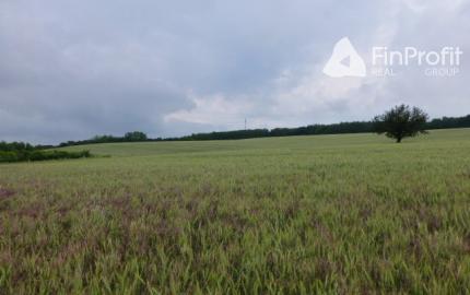 Vidiecky dom s veľkým pozemkom v peknom prostredí.