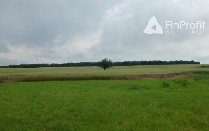 Vidiecky dom s veľkým pozemkom v peknom prostredí.