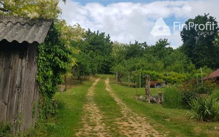 Prenajmem vinohrad Koliňany pri Nitre.