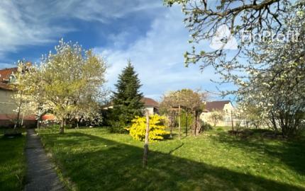 Podpivničený 3i dom s veľkým pozemkom vo Vajnoroch