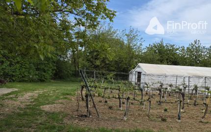Predám vinohrad s chatou Bita - Dolné Krškany, Nitra.