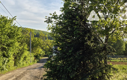 Predám 3 pozemky Nitra - Zobor -Šindolka. 600, 650, 650.