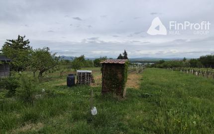 Predám chatu s vínnou pivnicou a vinohradom Dolné Krškany - Bita.