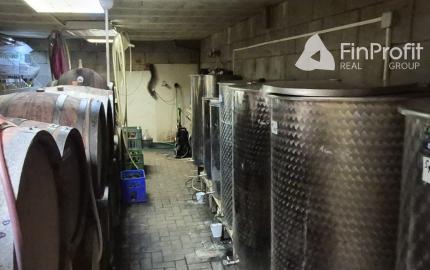 Predám chatu s vínnou pivnicou a vinohradom Dolné Krškany - Bita.