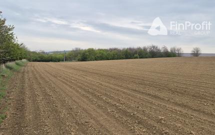Predám pozemok - Horné Krškany, Nitra 11583m2.