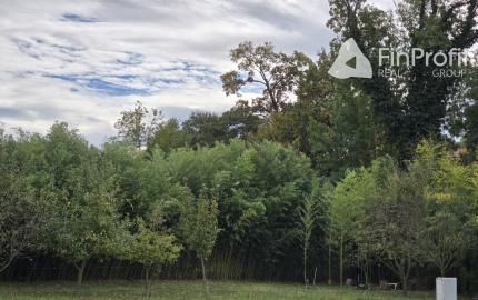 Luxusná dizajnová vila v Lozorne s bazénom a kinom
