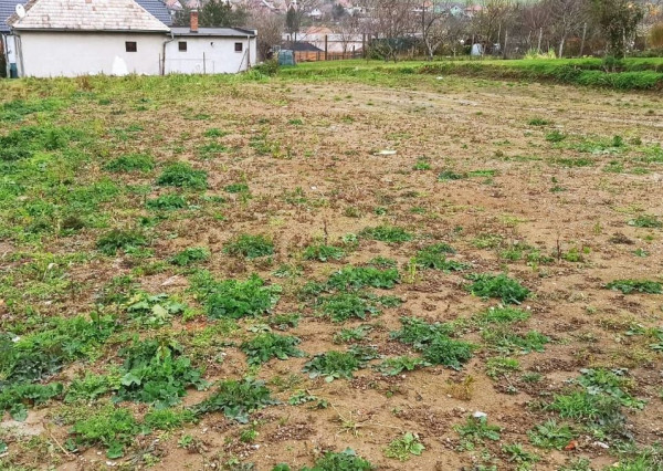 Pozemok na predaj – ideálny na výstavbu rodinného domu, Krnča (520 m²)