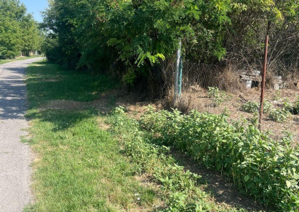 Pozemok pre rodinný dom – Telince (1037 m²) – 29 990 €