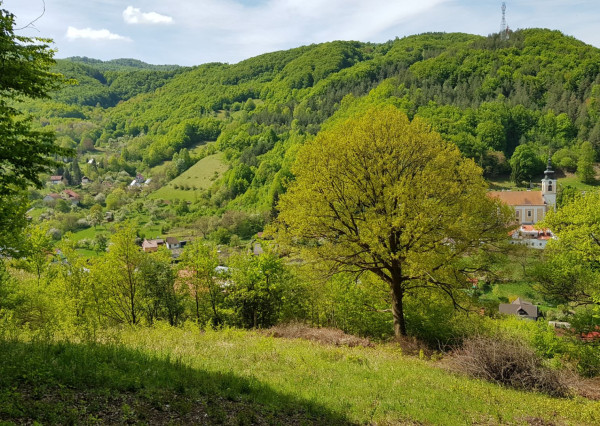 Predám pozemok vo Vyhniach + stavebné povolenie na chatu.