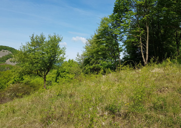 Predám pozemok vo Vyhniach + stavebné povolenie na chatu.