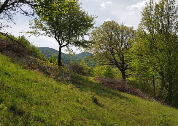 Predám pozemok vo Vyhniach + stavebné povolenie na chatu.