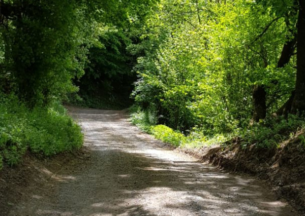Predám pozemok vo Vyhniach + stavebné povolenie na chatu.