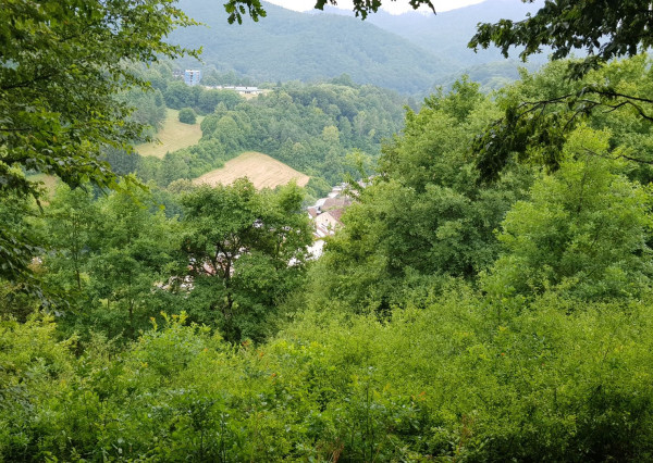 Predám pozemok vo Vyhniach + stavebné povolenie na chatu.