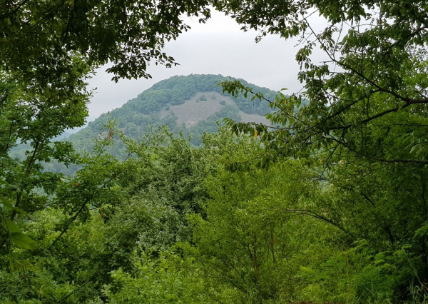 Predám pozemok vo Vyhniach + stavebné povolenie na chatu.