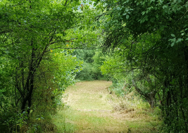 Predám pozemok vo Vyhniach + stavebné povolenie na chatu.