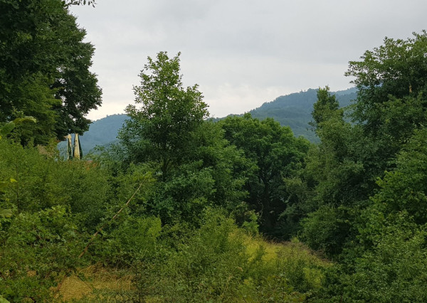 Predám pozemok vo Vyhniach + stavebné povolenie na chatu.