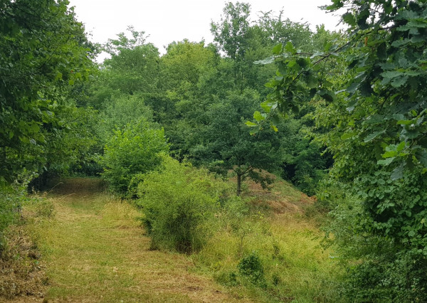 Predám pozemok vo Vyhniach + stavebné povolenie na chatu.