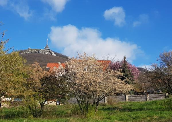 Predám 10á pozemok - Nitra, Zobor.