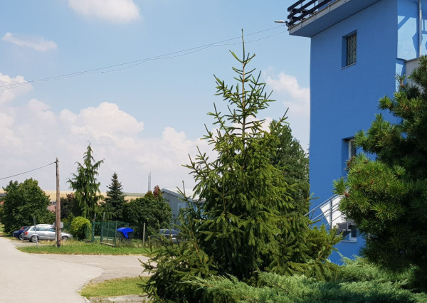 Predám pozemok na nitrianskom letisku v Janíkovciach.