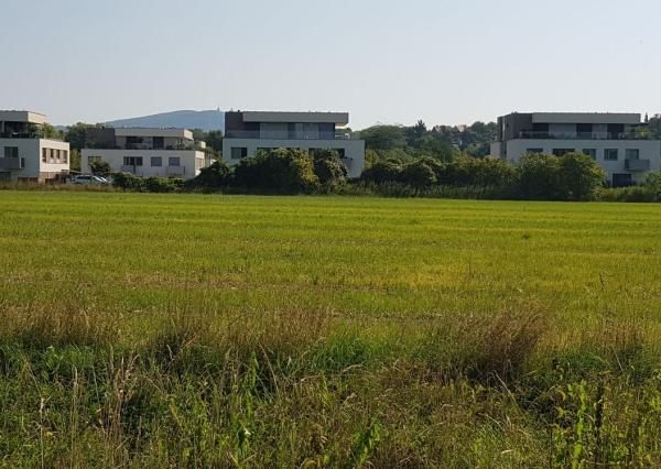 Predám pozemok Nitra - Kynek 6252m2.