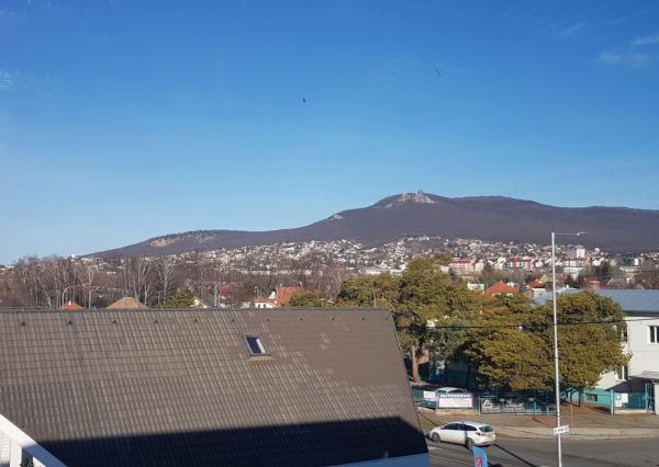 Prenajmem v Nitre na Levickej ulici 3 kancelárske priestory.