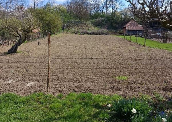 Predaj veľkého RD s 30 árovým pozemkom.