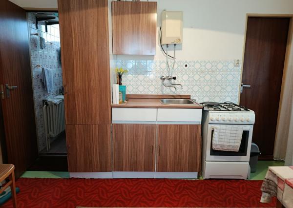 Predaj veľkého RD s 30 árovým pozemkom.