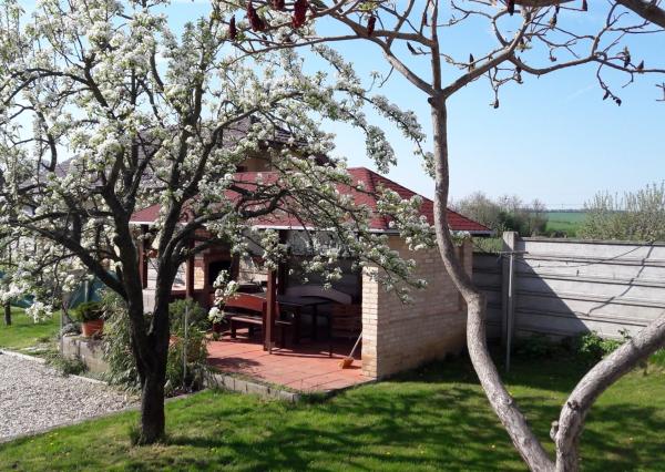 Na predaj útulný pekný RD na bývanie aj podnikanie, Podhájska